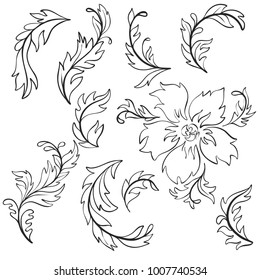 Set of vector drawing baroque pattern elements, doodle leaves, flowers and branches