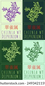 Set of vector drawing CHIENIA WT in Chinese in various colors. Hand drawn illustration. Latin name is DELPHINIUM L.
