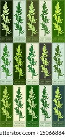 Set of vector drawing COMMON WORMWOOD in various colors. Hand drawn illustration. Latin name is ARTEMISIA ABSINTHIUM L.
