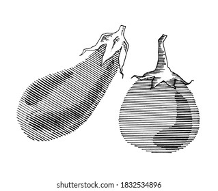 set of vector drawing eggplant, sliced, black and white graphics, engraving, hand drawn vegetable, gourmet cuisine, vegetarian, farm isolated on white background for print, cookbook, logo.