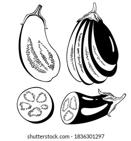 set of vector drawing eggplant, sliced, black and white graphics, engraving, hand drawn vegetable, gourmet cuisine, vegetarian, farm isolated on white background for print, cookbook, logo.