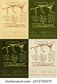 Set of vector drawing FALSE CHANTERELLE in various colors. Hand drawn illustration. The Latin name is HYGROPHOROPSIS AURANTIACA WULFEN.
