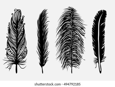 Set vector drawing feather