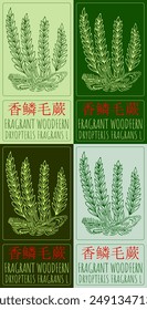 Set of vector drawing FRAGRANT WOODFERN in Chinese in various colors. Hand drawn illustration. The Latin name is DRYOPTERIS FRAGRANS L.
