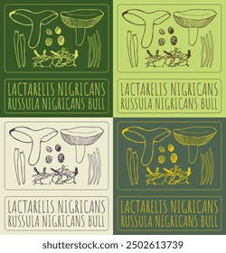 Set of vector drawing LACTARELIS NIGRICANS in various colors. Hand drawn illustration. Latin name is RUSSULA NIGRICANS BULL.
