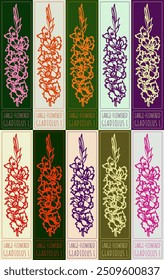 Set of vector drawing LARGE-FLOWERED GLADIOLUS in various colors. Hand drawn illustration. Latin name is GLADIOLUS L.
