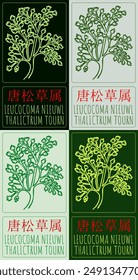 Set of vector drawing LEUCOCOMA NIEUWL in Chinese in various colors. Hand drawn illustration. The Latin name is THALICTRUM TOURN.
