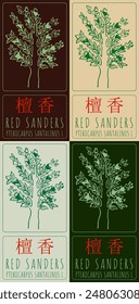 Set of vector drawing RED SANDERS in Chinese in various colors. Hand drawn illustration. The Latin name is PTEROCARPUS SANTALINUS L.
