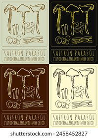 Set of vector drawing SAFFRON PARASOL in various colors. Hand drawn illustration. The Latin name is CYSTODERMA AMIANTHINUM FAYOD.
