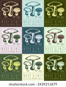 Set of vector drawing WOOD BLEWIT in various colors. Hand drawn illustration. The Latin name is LEPISTA NUDA BULL.
