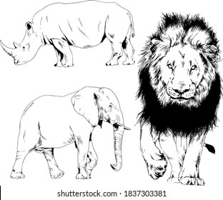 set of vector drawings animals of Africa, drawn by hand with a liner, for logos and tattoos