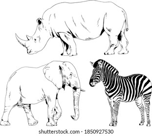 set of vector drawings animals of Africa, drawn by hand with a liner, for logos and tattoos