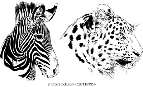 set of vector drawings animals of Africa, drawn by hand with a liner, for logos and tattoos