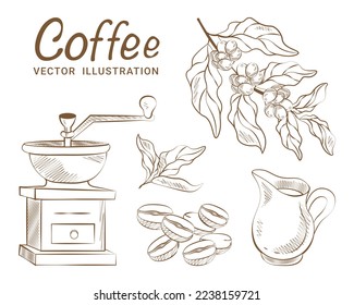 Set of vector drawings of coffee teapot coffee tree coffee grinder jug coffee beans