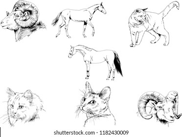 Set of vector drawings of different animals, hand-drawn sketches, objects with no background