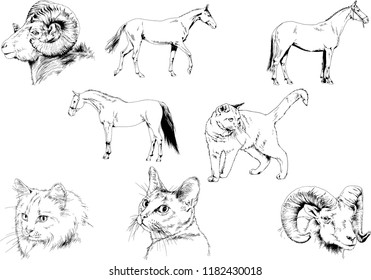 Set of vector drawings of different animals, hand-drawn sketches, objects with no background