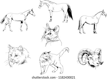 Set of vector drawings of different animals, hand-drawn sketches, objects with no background