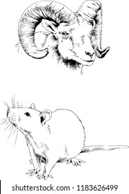 Set of vector drawings of different animals, hand-drawn sketches, objects with no background