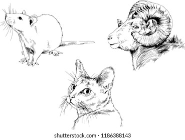 Set of vector drawings of different animals, hand-drawn sketches, objects with no background