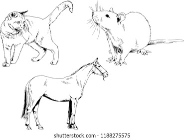 Set of vector drawings of different animals, hand-drawn sketches, objects with no background