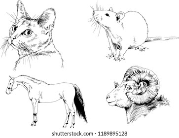 Set of vector drawings of different animals, hand-drawn sketches, objects with no background