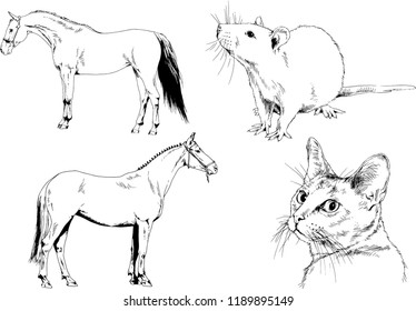 Set of vector drawings of different animals, hand-drawn sketches, objects with no background