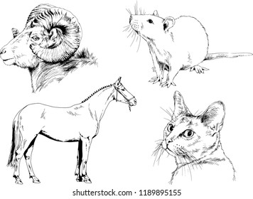 Set of vector drawings of different animals, hand-drawn sketches, objects with no background