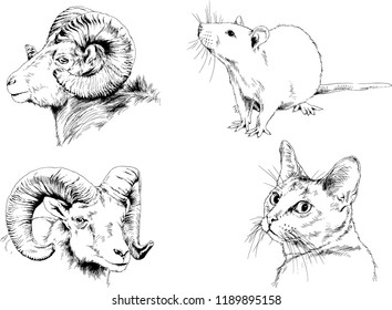 Set of vector drawings of different animals, hand-drawn sketches, objects with no background