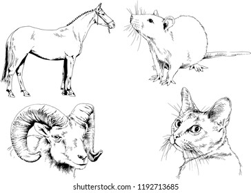 Set of vector drawings of different animals, hand-drawn sketches, objects with no background