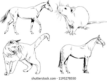 Set of vector drawings of different animals, hand-drawn sketches, objects with no background