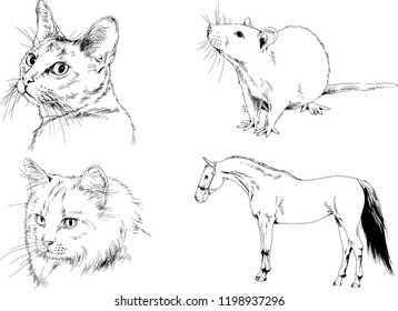 Set of vector drawings of different animals, hand-drawn sketches, objects with no background