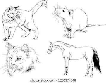 Set of vector drawings of different animals, hand-drawn sketches, objects with no background