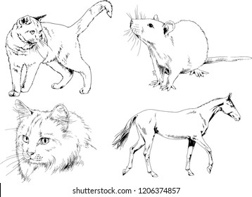 Set of vector drawings of different animals, hand-drawn sketches, objects with no background