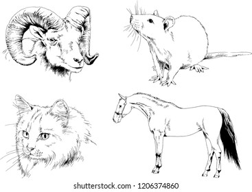 Set of vector drawings of different animals, hand-drawn sketches, objects with no background