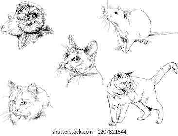 Set of vector drawings of different animals, hand-drawn sketches, objects with no background
