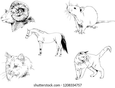 Set of vector drawings of different animals, hand-drawn sketches, objects with no background