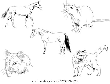 Set of vector drawings of different animals, hand-drawn sketches, objects with no background