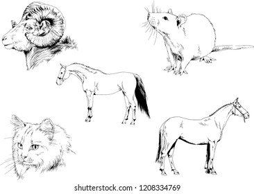 Set of vector drawings of different animals, hand-drawn sketches, objects with no background