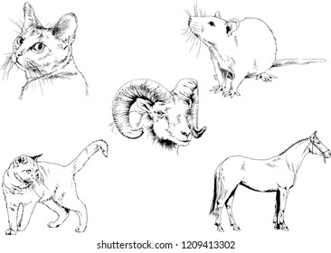 Set of vector drawings of different animals, hand-drawn sketches, objects with no background