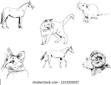 Set of vector drawings of different animals, hand-drawn sketches, objects with no background