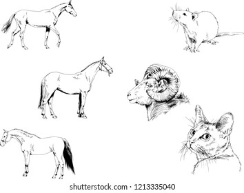 Set of vector drawings of different animals, hand-drawn sketches, objects with no background