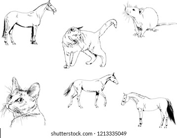 Set of vector drawings of different animals, hand-drawn sketches, objects with no background