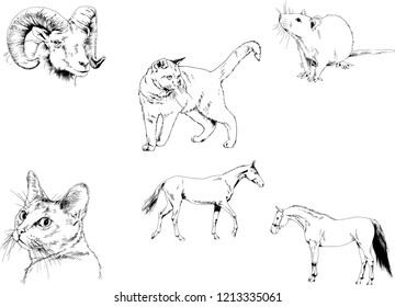 Set of vector drawings of different animals, hand-drawn sketches, objects with no background