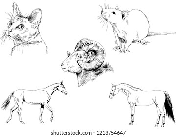Set of vector drawings of different animals, hand-drawn sketches, objects with no background