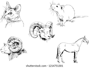 Set of vector drawings of different animals, hand-drawn sketches, objects with no background