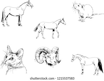 Set of vector drawings of different animals, hand-drawn sketches, objects with no background