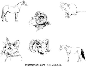 Set of vector drawings of different animals, hand-drawn sketches, objects with no background