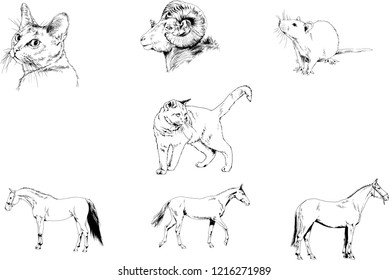 Set of vector drawings of different animals, hand-drawn sketches, objects with no background