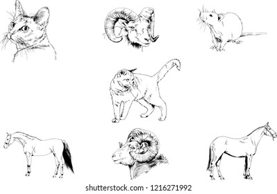 Set of vector drawings of different animals, hand-drawn sketches, objects with no background