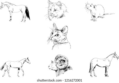 Set of vector drawings of different animals, hand-drawn sketches, objects with no background